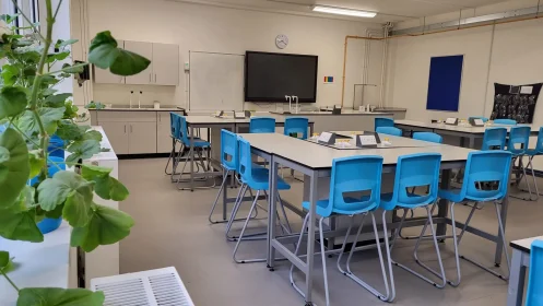 Modern science classroom with grey lab benches, bright blue chairs, integrated power units, and greenery by the window.